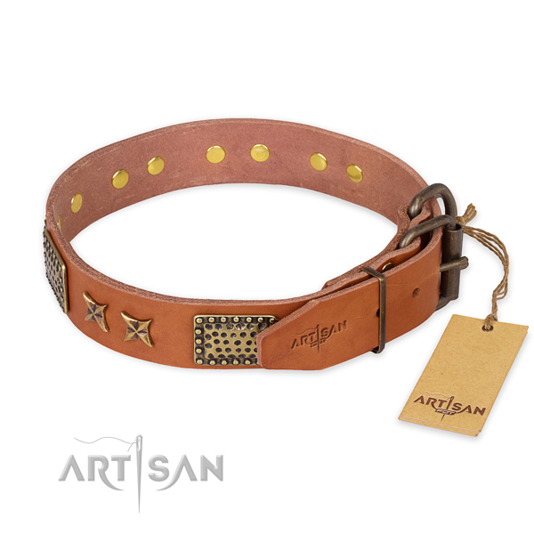 Daily walking genuine leather collar with embellishments for your dog