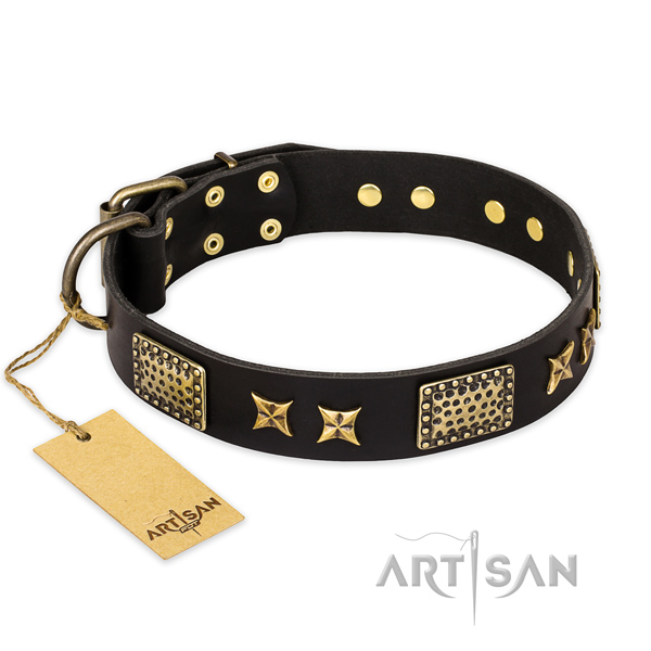 Daily use full grain natural leather collar with adornments for your doggie
