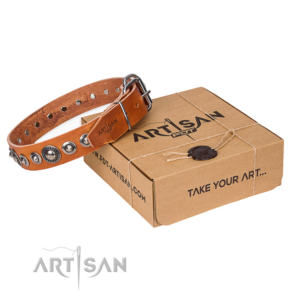 Top quality full grain leather dog collar for walking in style