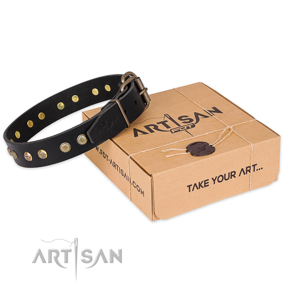 Stylish design natural genuine leather dog collar for walking in style