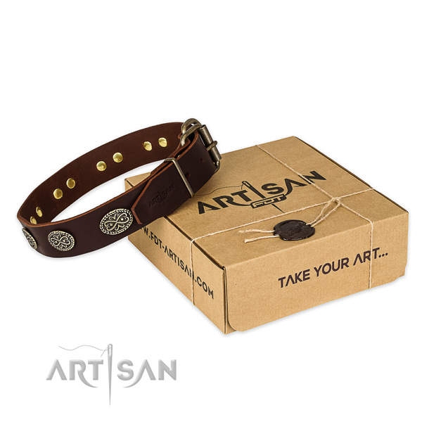 Top notch full grain genuine leather dog collar for everyday walking