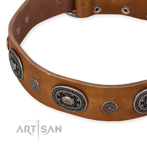 Snugly fitted leather dog collar with extra strong non-rusting set of hardware