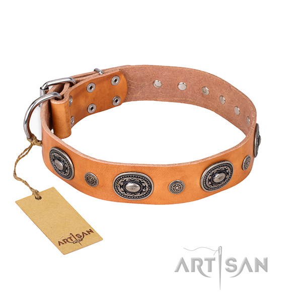 Exceptional design studs on full grain leather dog collar