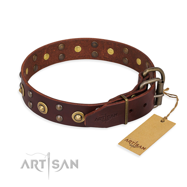 Daily walking full grain natural leather collar with decorations for your dog
