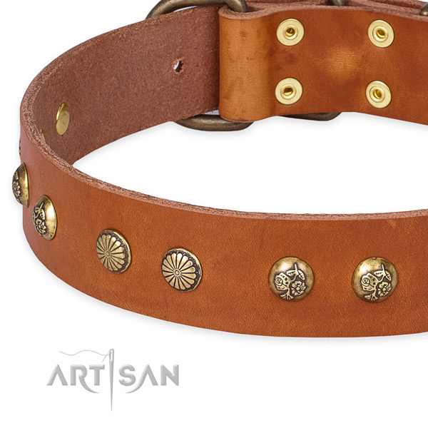 Adjustable leather dog collar with extra sturdy non-rusting buckle and D-ring