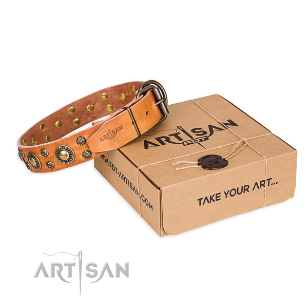 Day-to-day leather dog collar with cute adornments