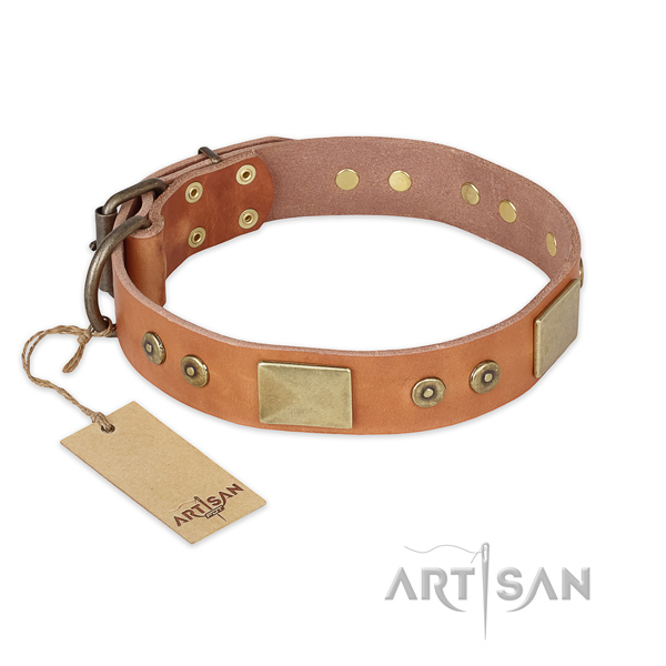 Top notch design adornments on full grain natural leather dog collar