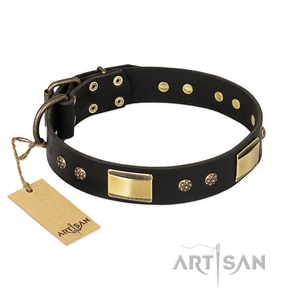 Daily use full grain leather collar with studs for your canine