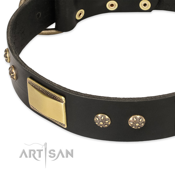 Handy use leather collar with corrosion proof buckle and D-ring
