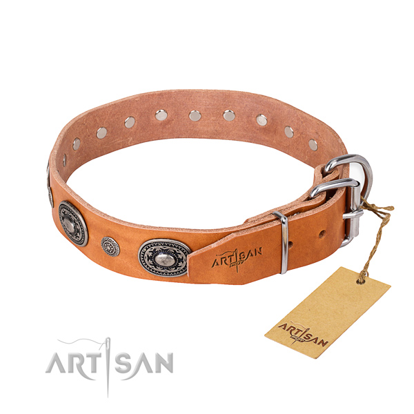 Everyday leather collar for your handsome dog
