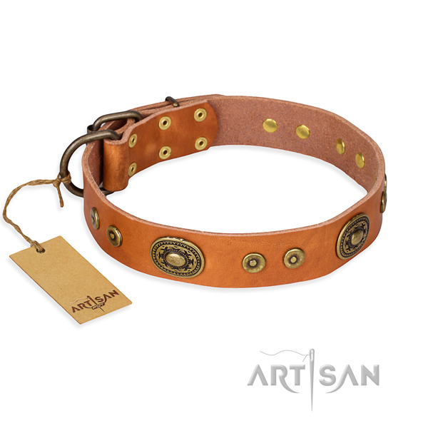 Durable leather dog collar with rust-resistant details