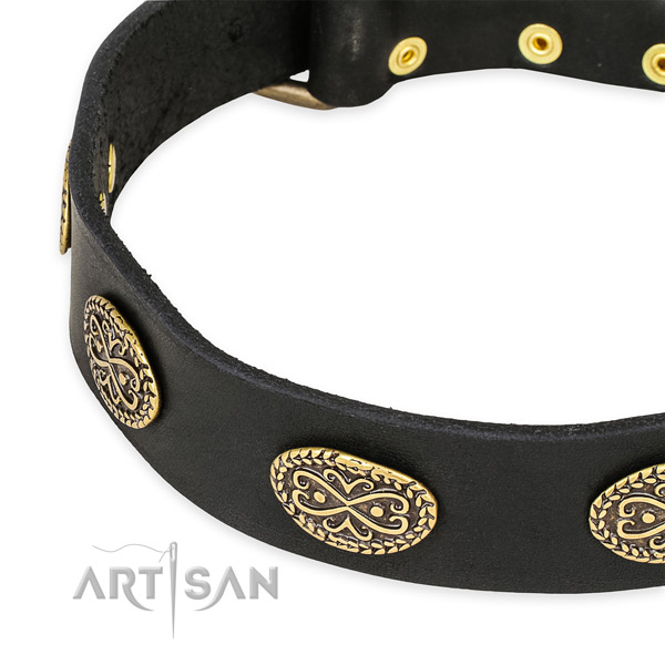 Quick to fasten leather dog collar with resistant to tear and wear brass plated fittings