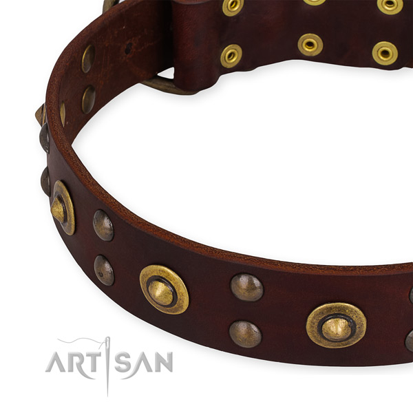 Easy to use leather dog collar with extra strong non-rusting set of hardware