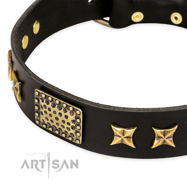 Quick to fasten leather dog collar with resistant to tear and wear non-rusting fittings