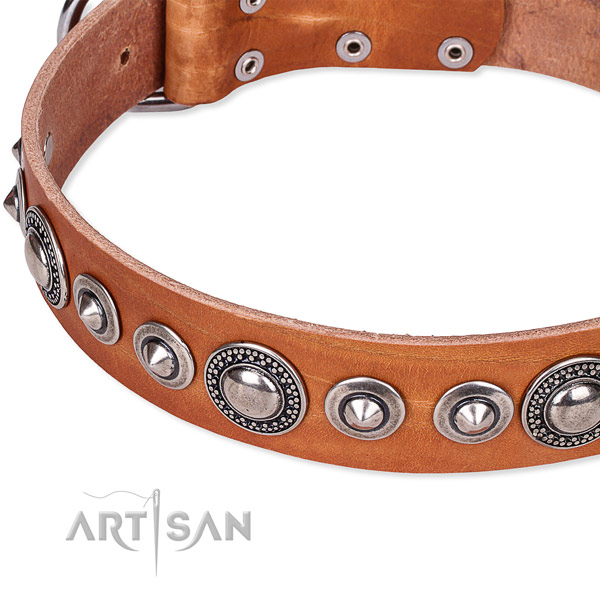 Easy to use leather dog collar with extra sturdy non-rusting set of hardware