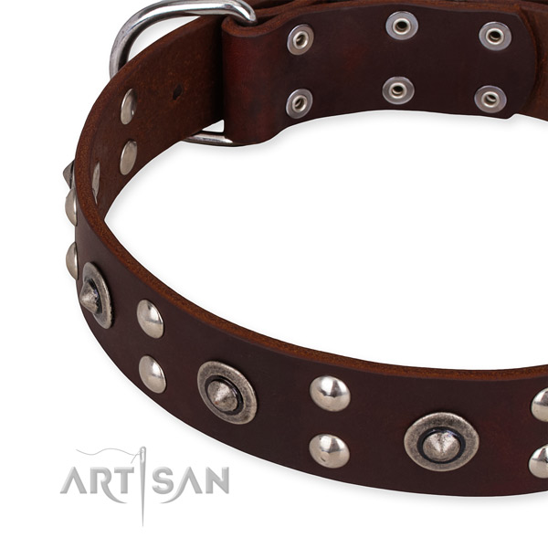 Easy to adjust leather dog collar with resistant to tear and wear chrome plated fittings