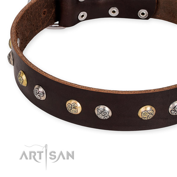 Easy to use leather dog collar with resistant durable buckle and D-ring