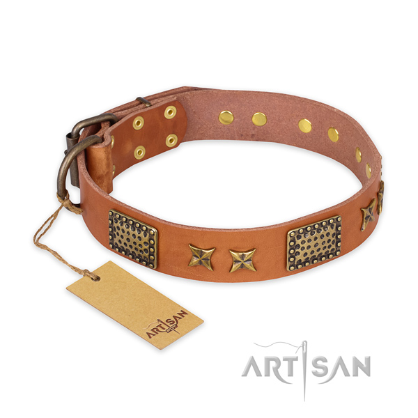 Incredible design embellishments on natural genuine leather dog collar