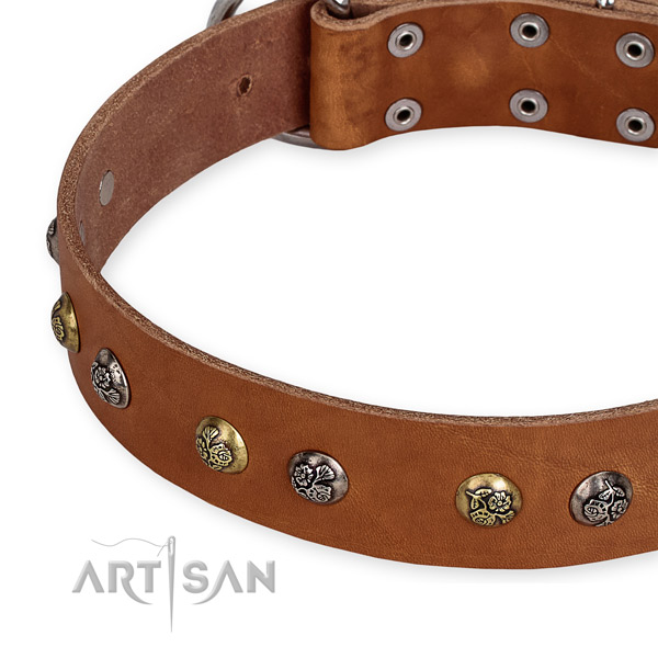 Quick to fasten leather dog collar with almost unbreakable non-rusting buckle