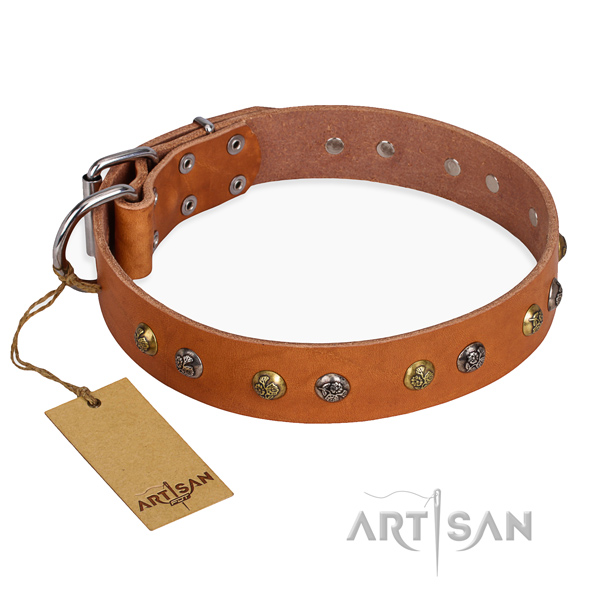 Wear-proof leather collar for your handsome canine