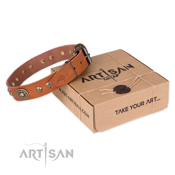 Top notch full grain natural leather dog collar for daily walking
