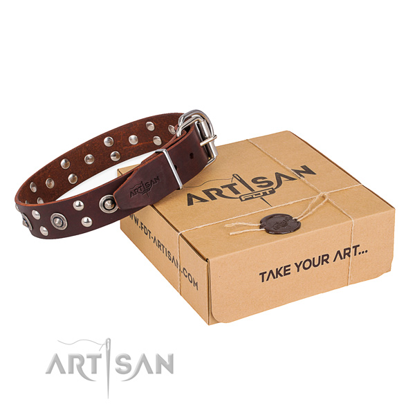 Best quality full grain leather dog collar for walking in style
