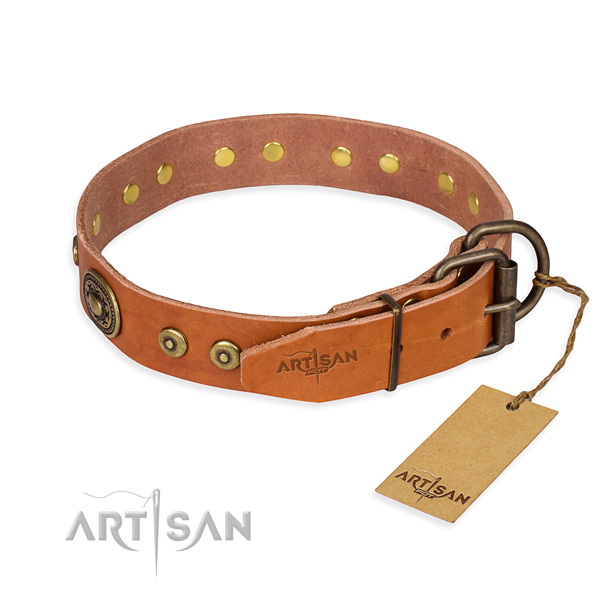 Awesome leather collar for your handsome four-legged friend