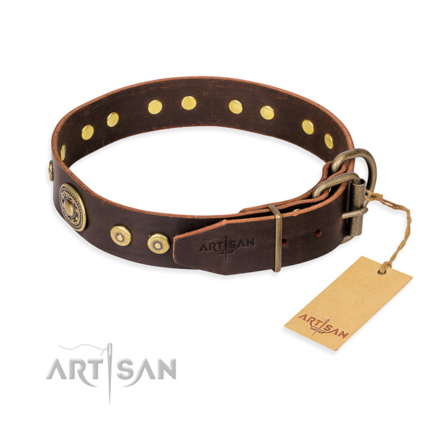 Fashionable leather collar for your noble pet