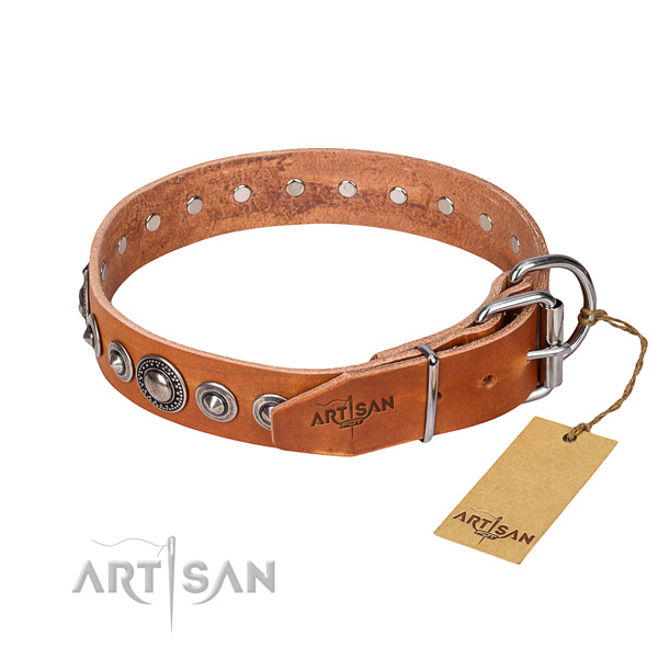 Tear-proof leather collar for your gorgeous canine