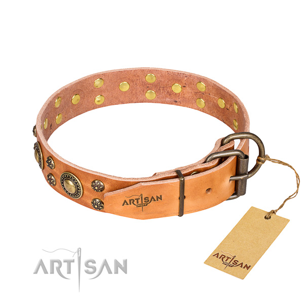 Awesome leather collar for your stunning canine