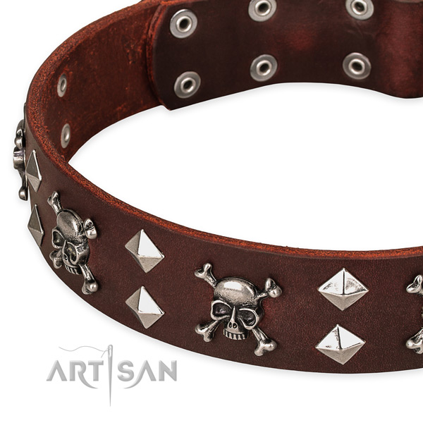 Everyday leather dog collar for reliable use
