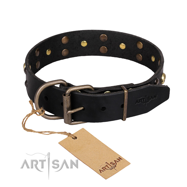 Indestructible leather dog collar with corrosion-resistant hardware