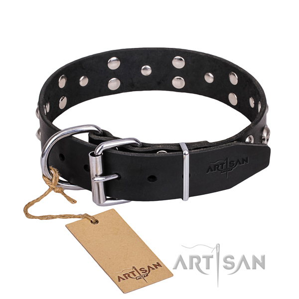 Everyday leather dog collar with astonishing adornments
