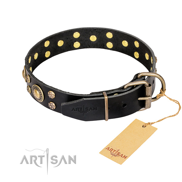 Functional leather collar for your gorgeous pet