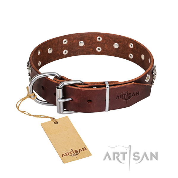 Reliable leather dog collar with brass plated hardware