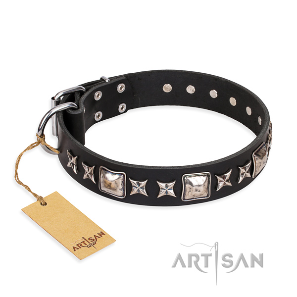 Long-wearing leather dog collar with reliable fittings