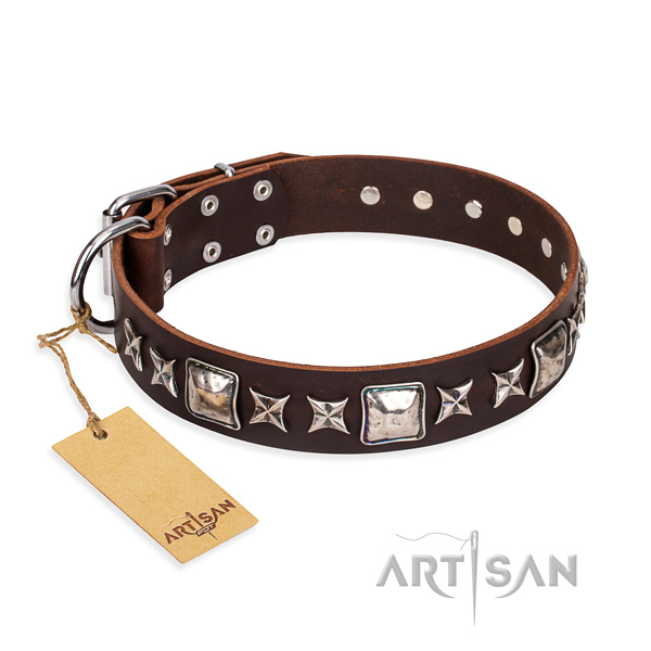 Indestructible leather dog collar with non-corrosive fittings