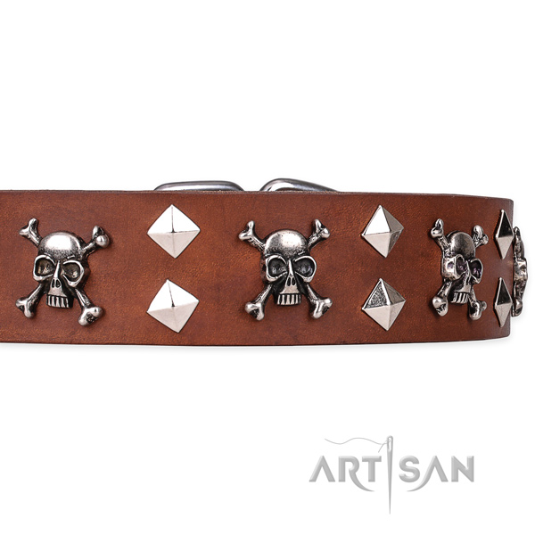 Casual style leather dog collar with amazing adornments