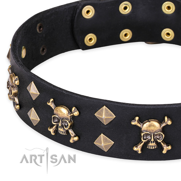 Day-to-day leather dog collar with refined embellishments