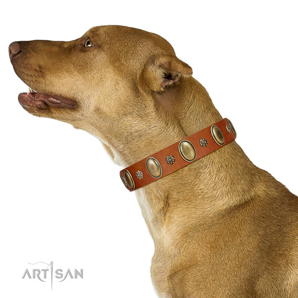 Comfy wearing soft genuine leather dog collar with embellishments