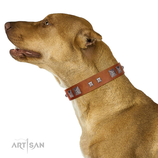 Genuine leather dog collar of soft to touch material with awesome studs
