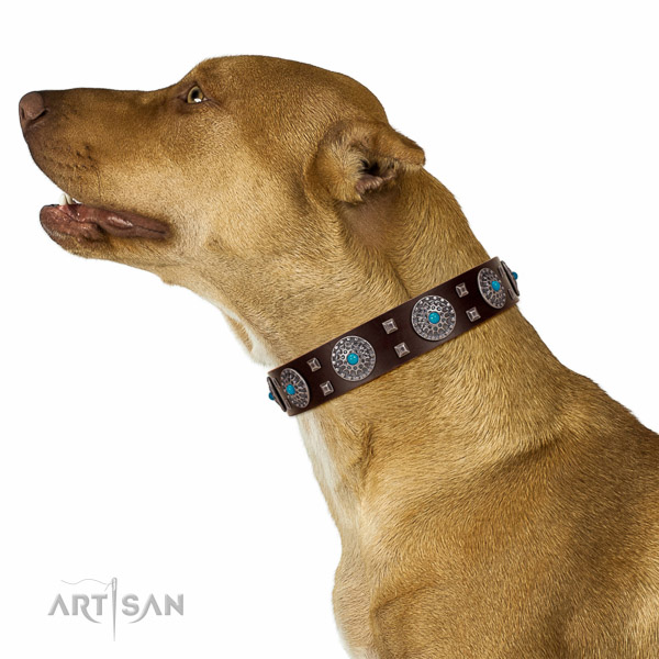 Stylish walking full grain genuine leather dog collar with extraordinary decorations
