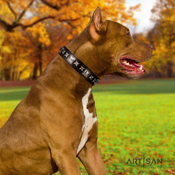 Pitbull easy adjustable genuine leather collar with decorations for your canine