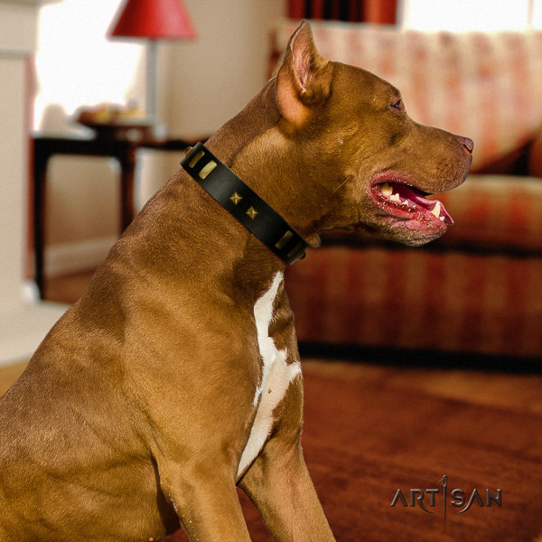 Pitbull unusual decorated leather dog collar for comfy wearing