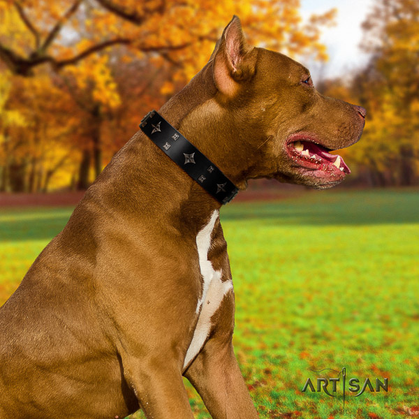 Pitbull inimitable adorned natural leather dog collar for comfortable wearing
