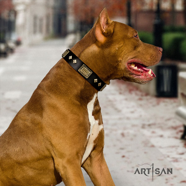 Pitbull easy adjustable genuine leather dog collar with impressive decorations