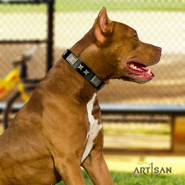 Pitbull easy to adjust natural genuine leather dog collar with fashionable embellishments