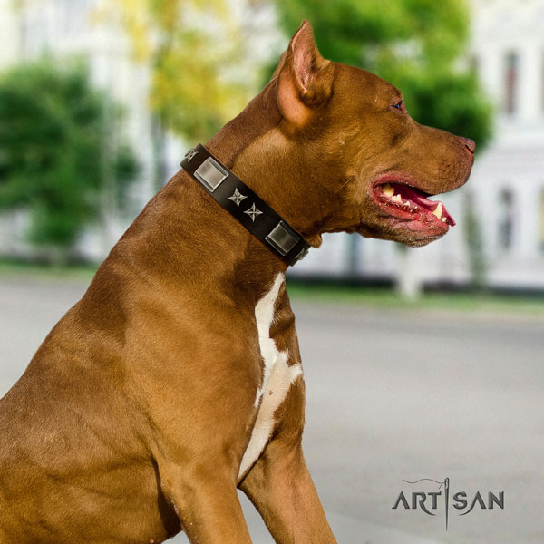 Pitbull handmade natural genuine leather dog collar with inimitable adornments