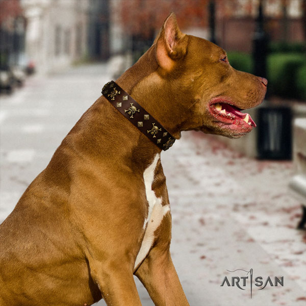 Pitbull easy wearing genuine leather collar with decorations for your dog