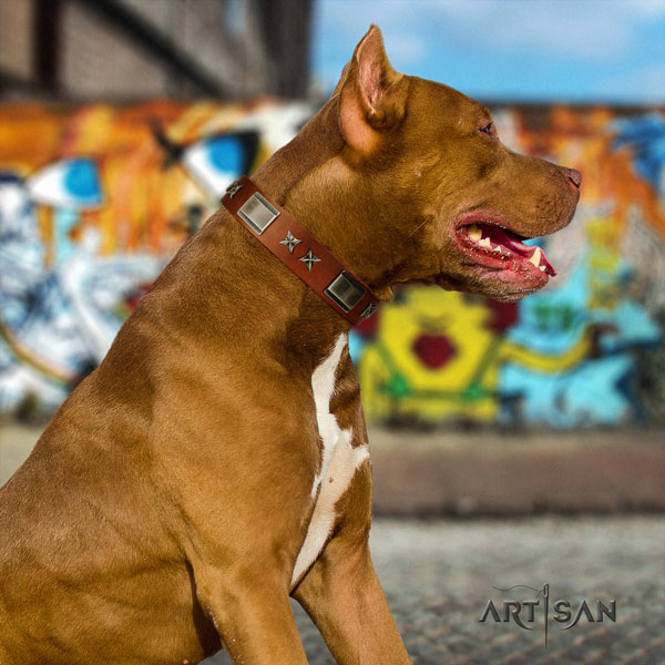 Pitbull comfortable natural genuine leather dog collar with incredible decorations